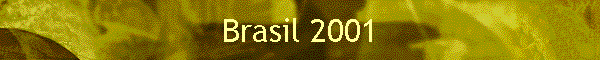 Brasil 2001