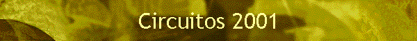 Circuitos 2001