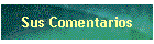 Sus Comentarios