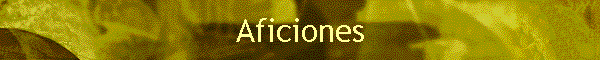 Aficiones