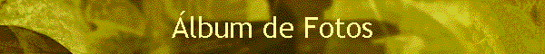 �lbum de Fotos
